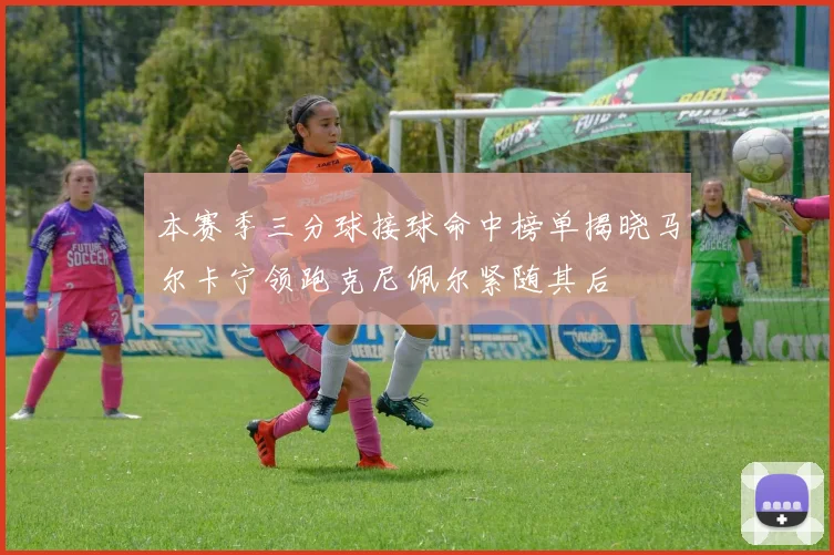 本赛季三分球接球命中榜单揭晓马尔卡宁领跑克尼佩尔紧随其后