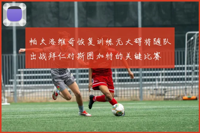 帕夫洛维奇恢复训练无大碍将随队出战拜仁对斯图加特的关键比赛